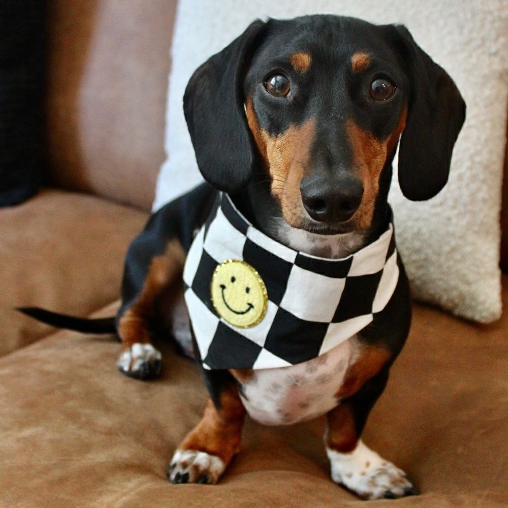 The Avril Checkered Dog Bandana Black and White